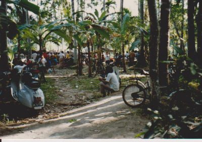 Bali kukkotappelut järjestetään piilossa viidakossa by Vaula Norrena 1992