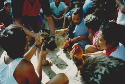 Bali kukkotappelu alkaa - cockfight starts by Vaula Norrena 1992