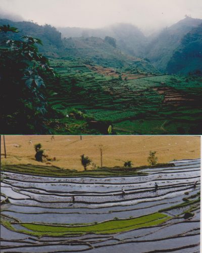 Bali Tirtagangga upea maisema riisipellot by Vaula Norrena 1992