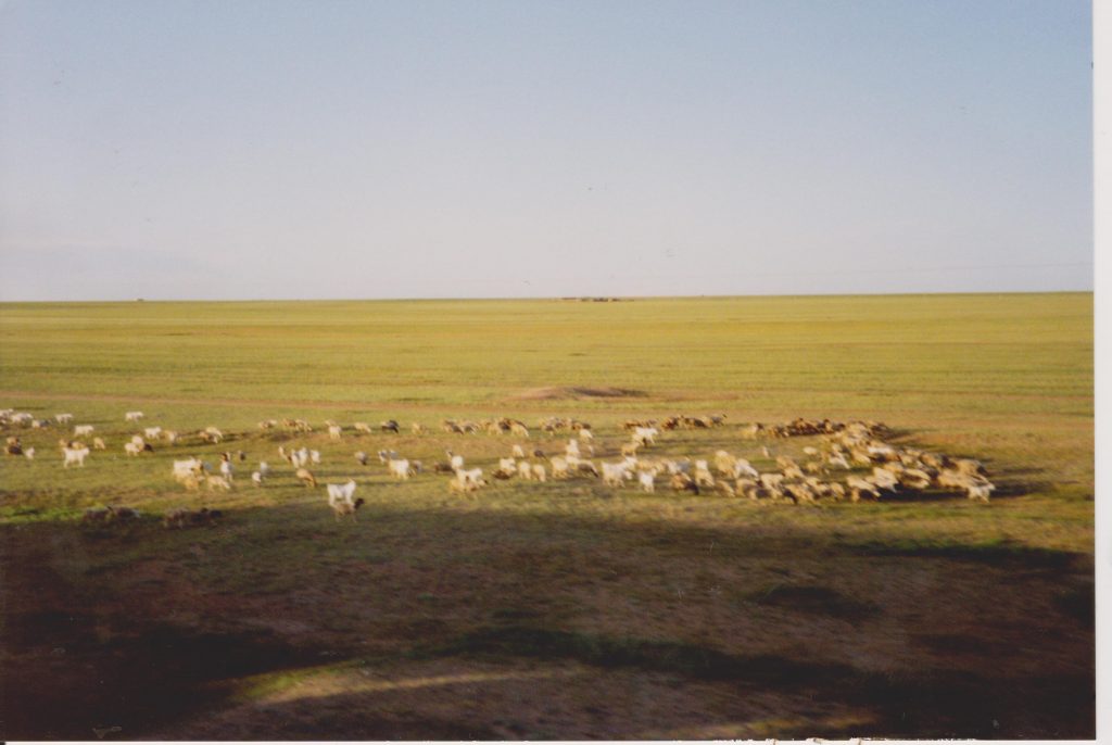 Trans-Siberian Mongolia autiomaa Gobi Vaula Norrena 1992